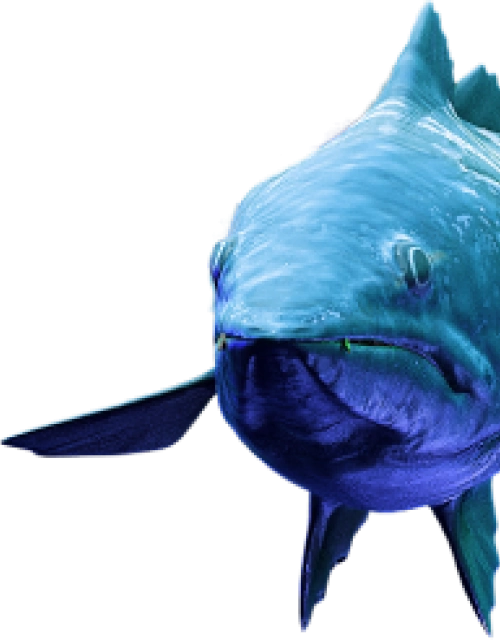 Uma imagem gerada por computador de um peixe grande em um fundo branco