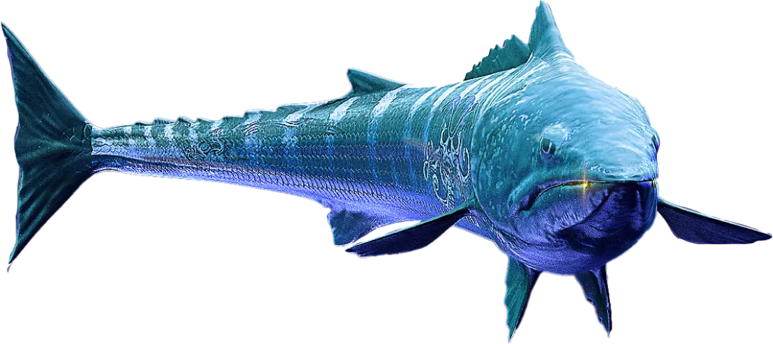 Uma imagem gerada por computador de um peixe comprido verde e azul