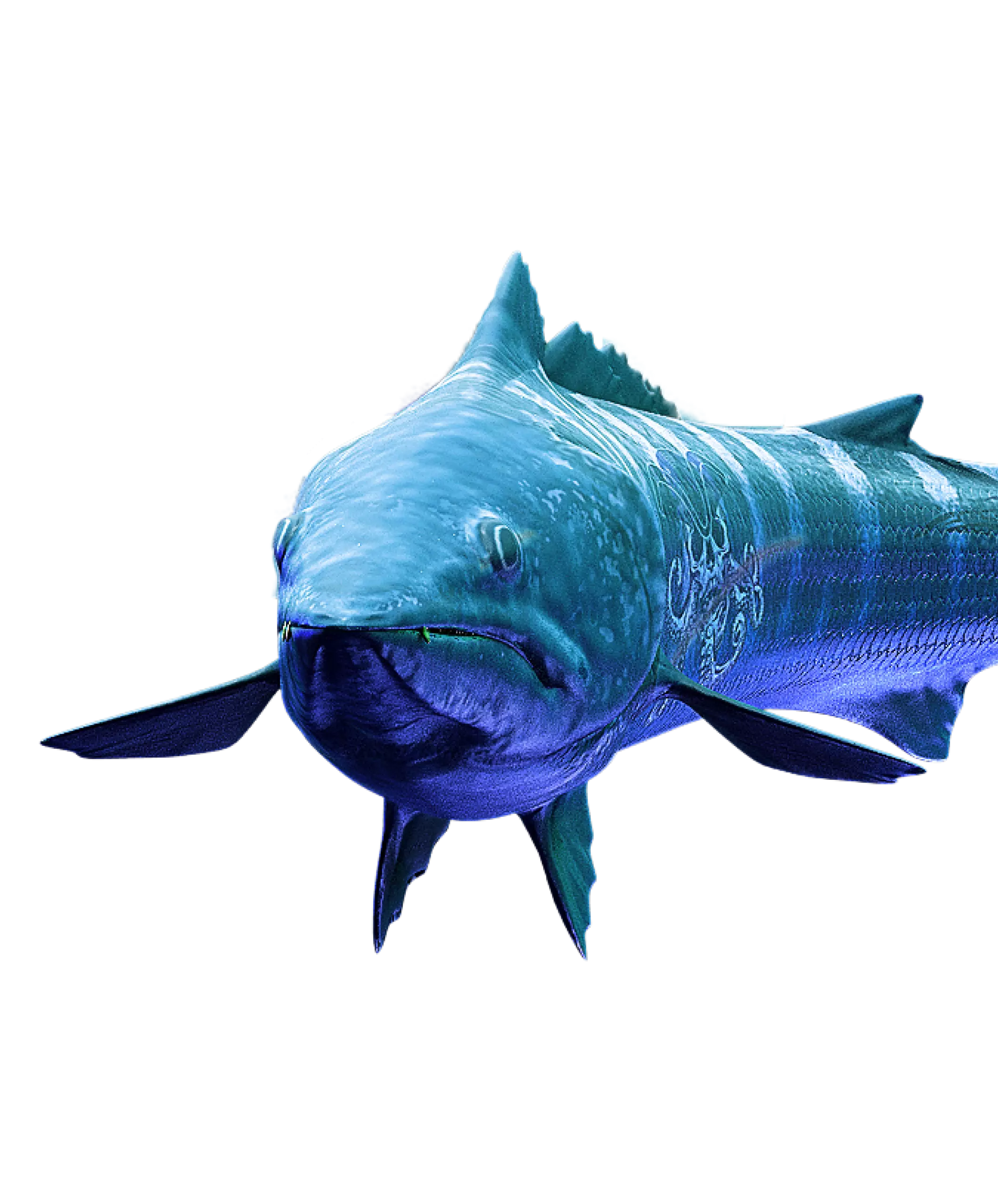 Uma imagem gerada por computador de um peixe grande em um fundo branco