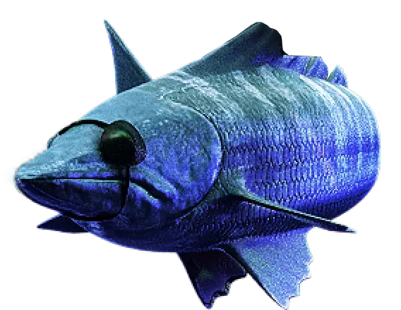 Uma imagem gerada por computador de um peixe azul em um fundo branco