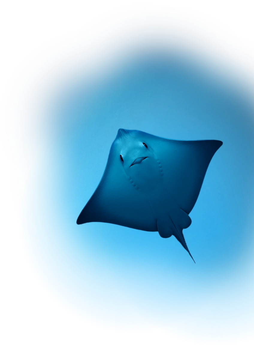 https://prio3.com.br/wp-content/uploads/2025/04/arraiaNovo.webp